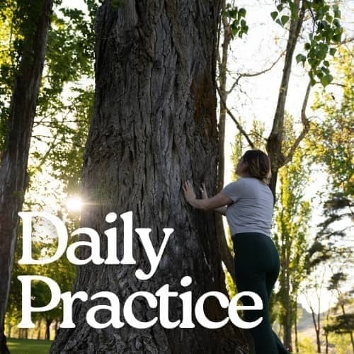 Daily Practice (30 day experience)