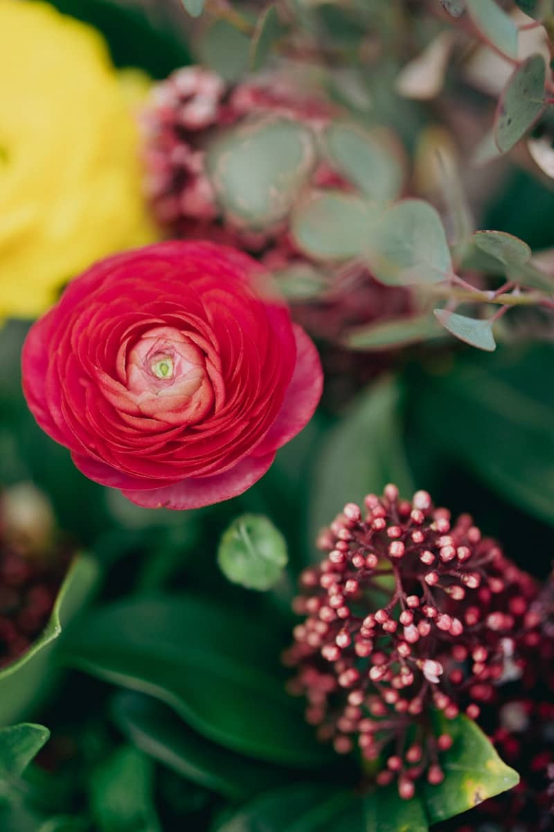 Bright and colorful flowers create a beautiful display.