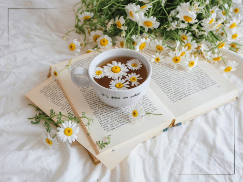 Tea cup on book with dandelions