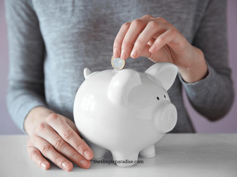 Women putting coin in piggy bank