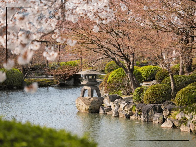 Beautiful Zen garden