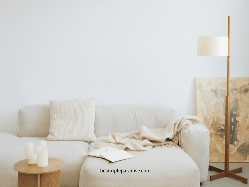Minimalist living room with bare walls