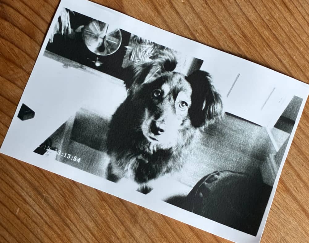 Instant Camera Photo