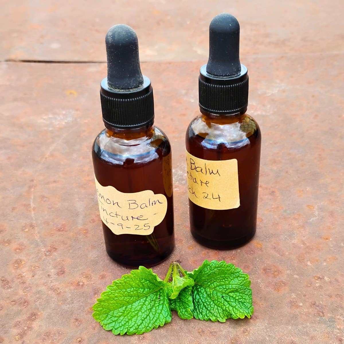 two dropper bottles with lemon balm tincture