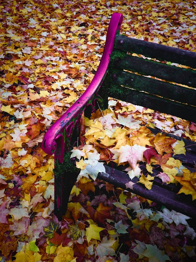 A bench covered in leaves