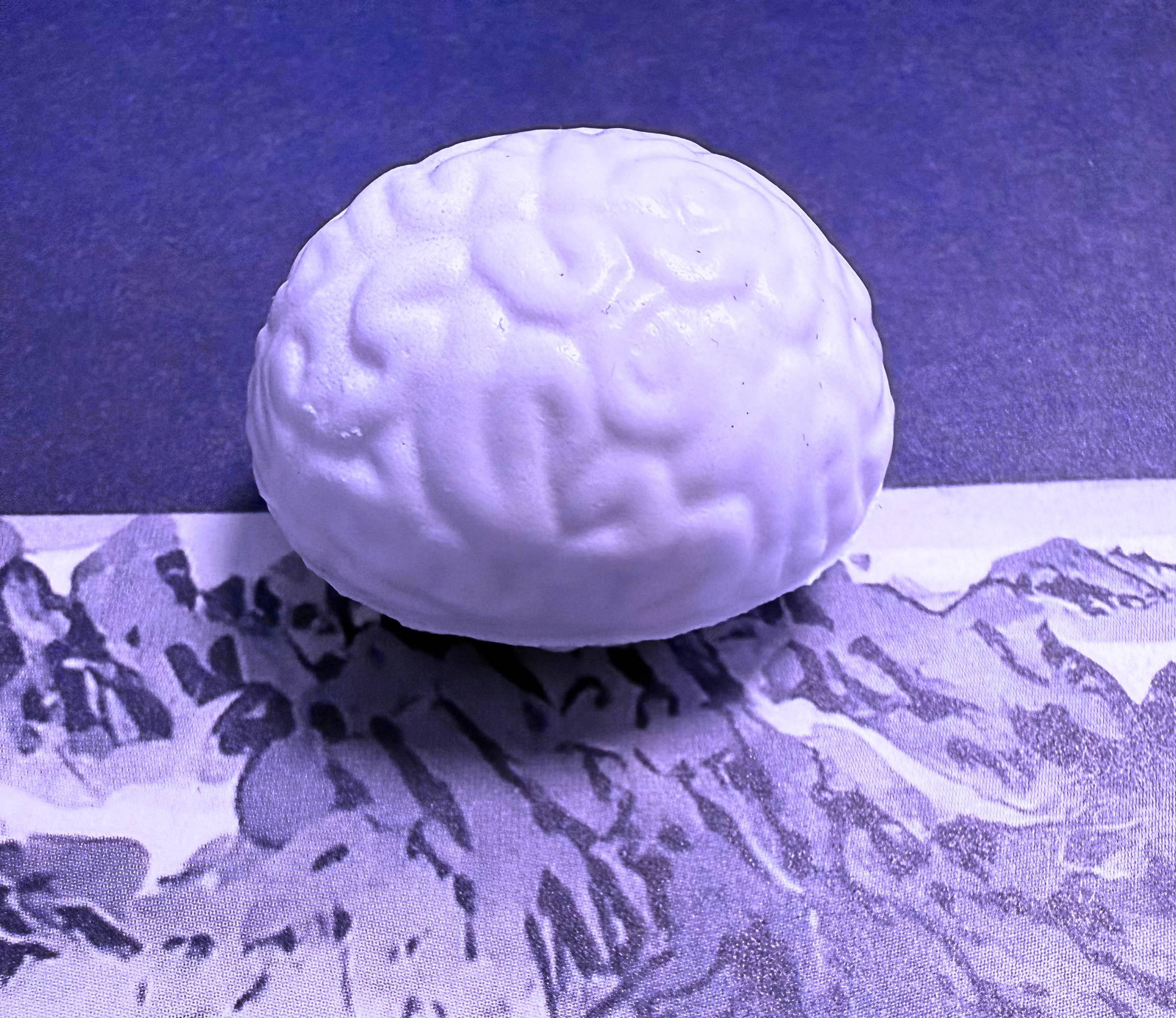 A white squishy stress ball shaped like a human brain, resting on a purple-tinted mountain landscape print.   