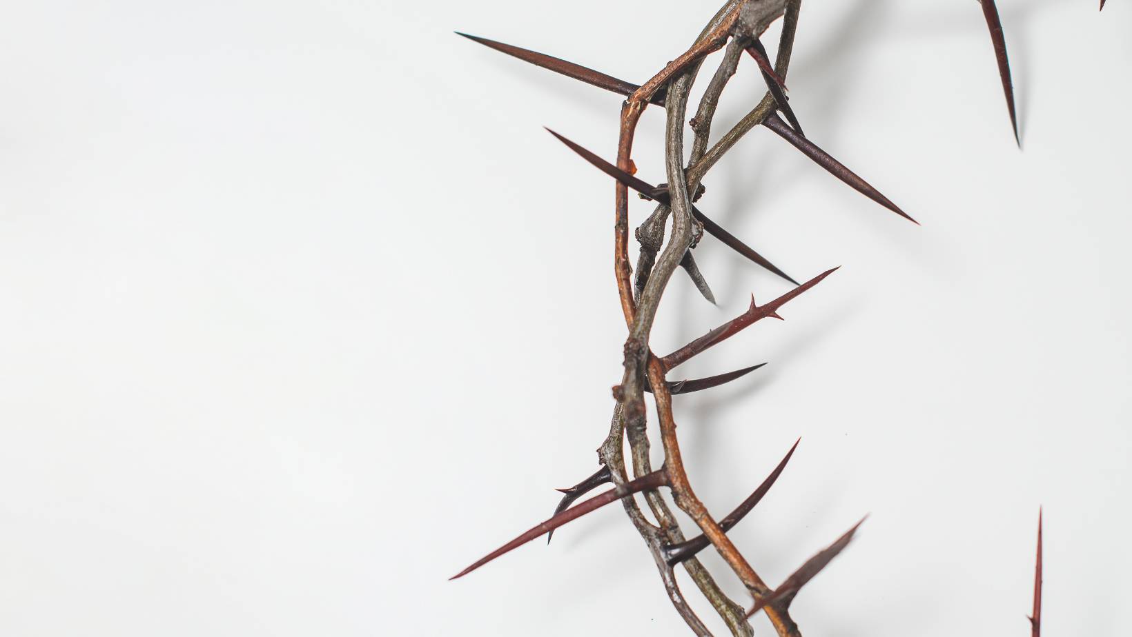 Journey to the Cross — Because He Lives!