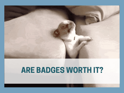 Are badges worth it?