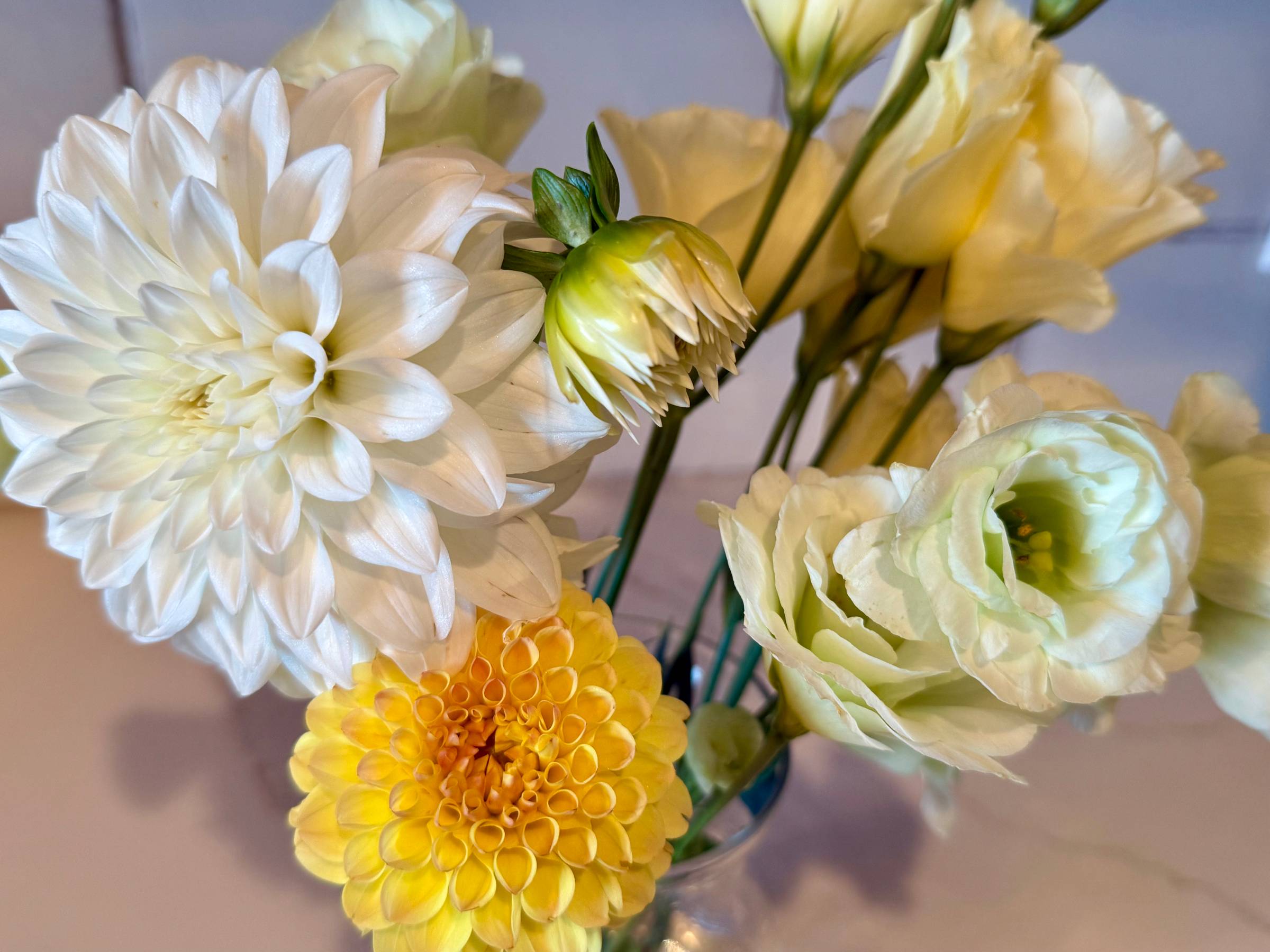 Bouquet of white and yellow flowers