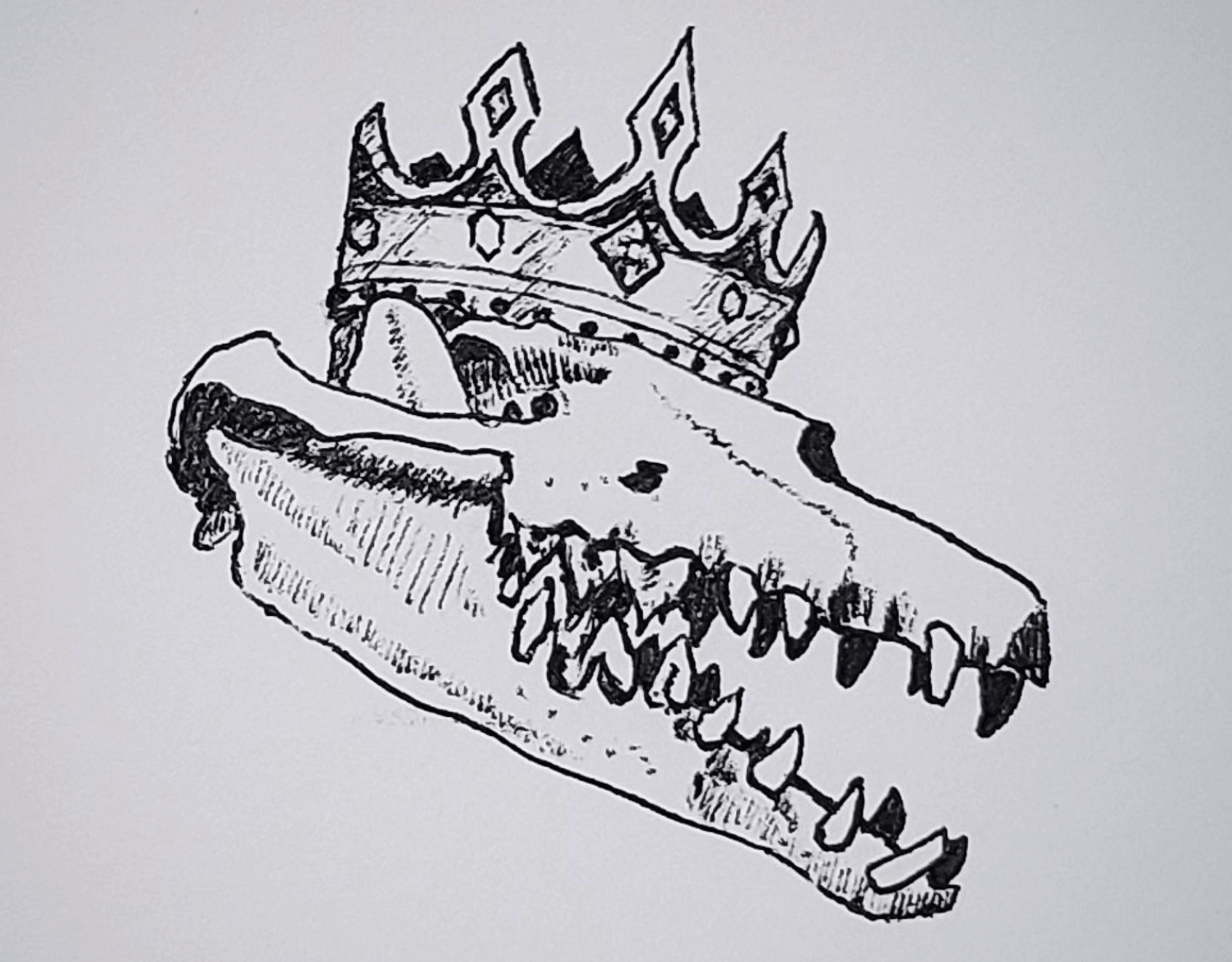 Ink sketch of a dinosaur skull wearing a crown