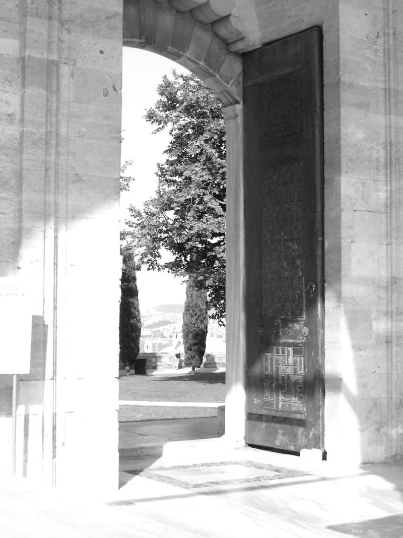 Open ornate wooden door revealing a green garden.
