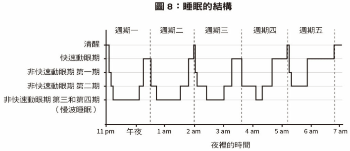《為甚麼要睡覺？》第三章