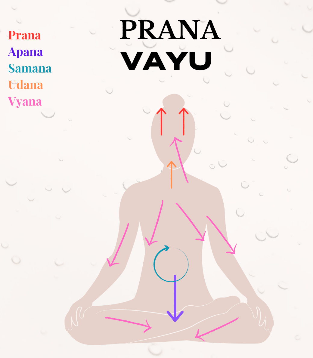 Prana Vayus