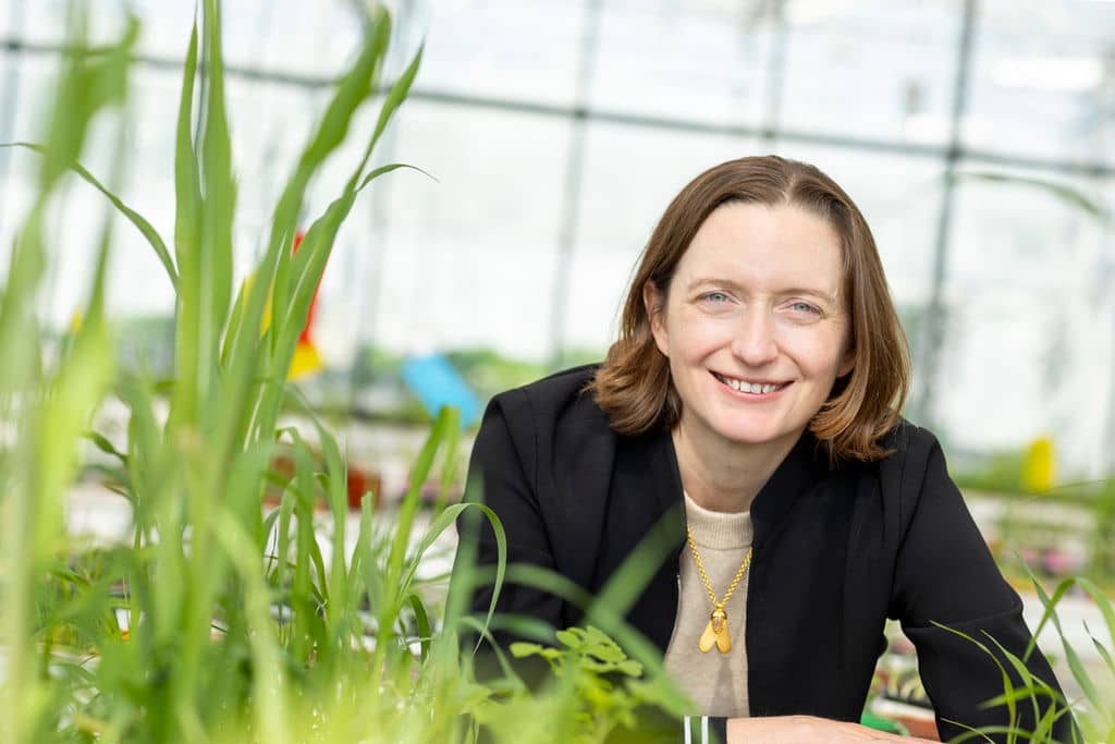 Moa Technology CEO Dr Virginia Corless