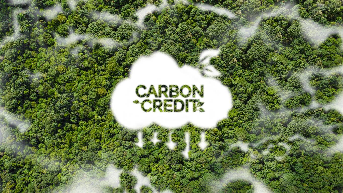Carbon credits-istock-Sakorn Sukkasemsakorn