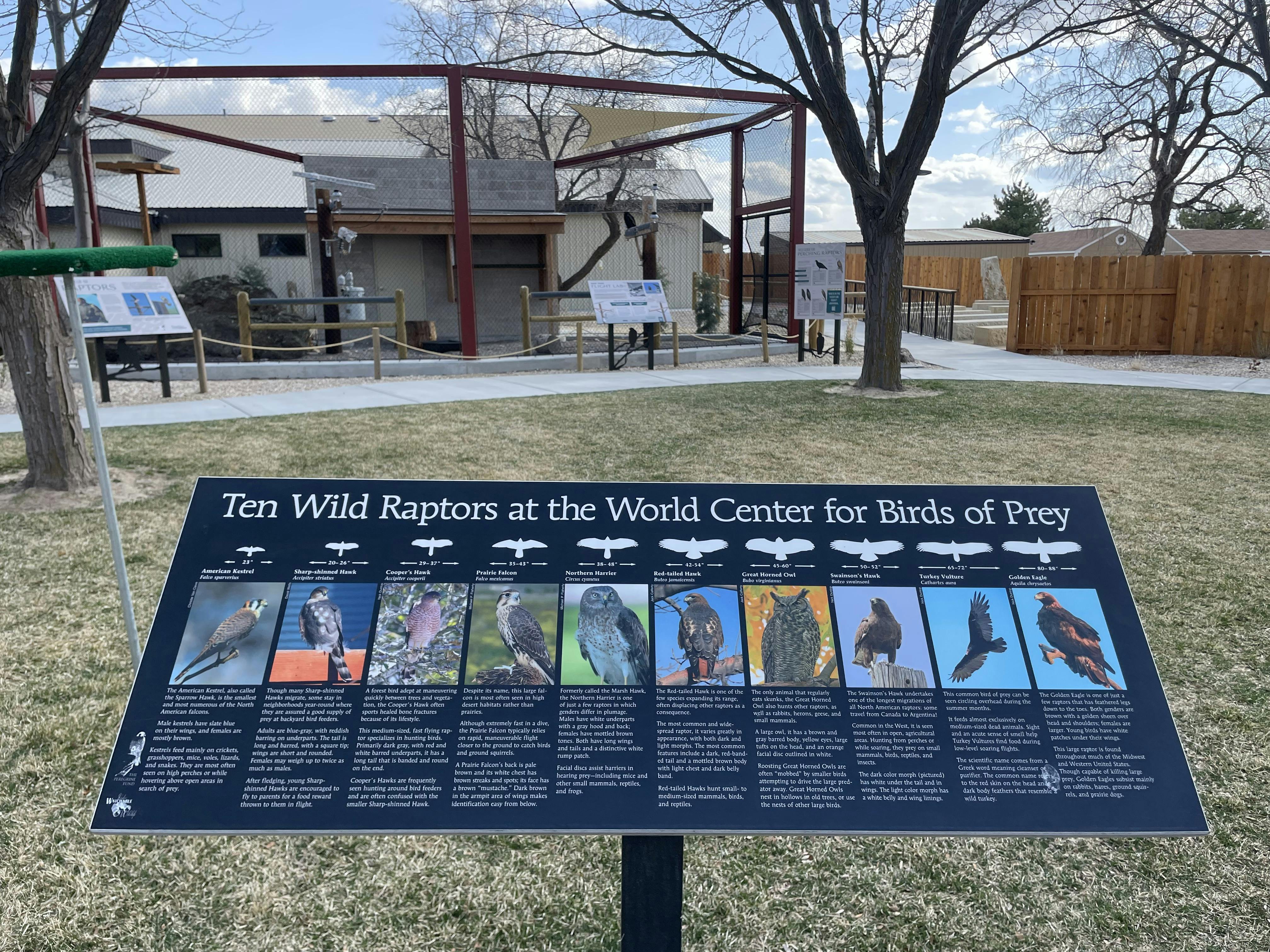 World Center for Birds of Prey