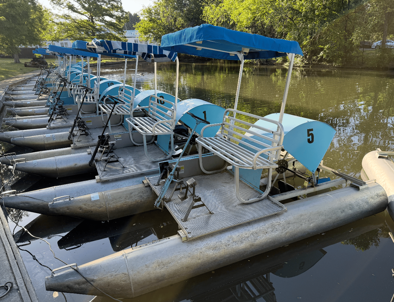A row of numbered pedal boats with blue canopies and metal seats docked along a calm, tree-lined pond at Julia Davis Park.
