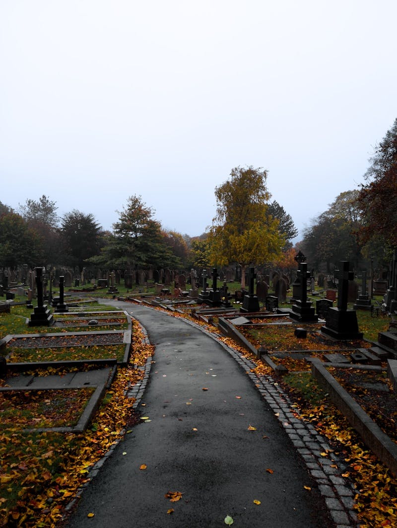 A cemetery with lots of tombstones and trees