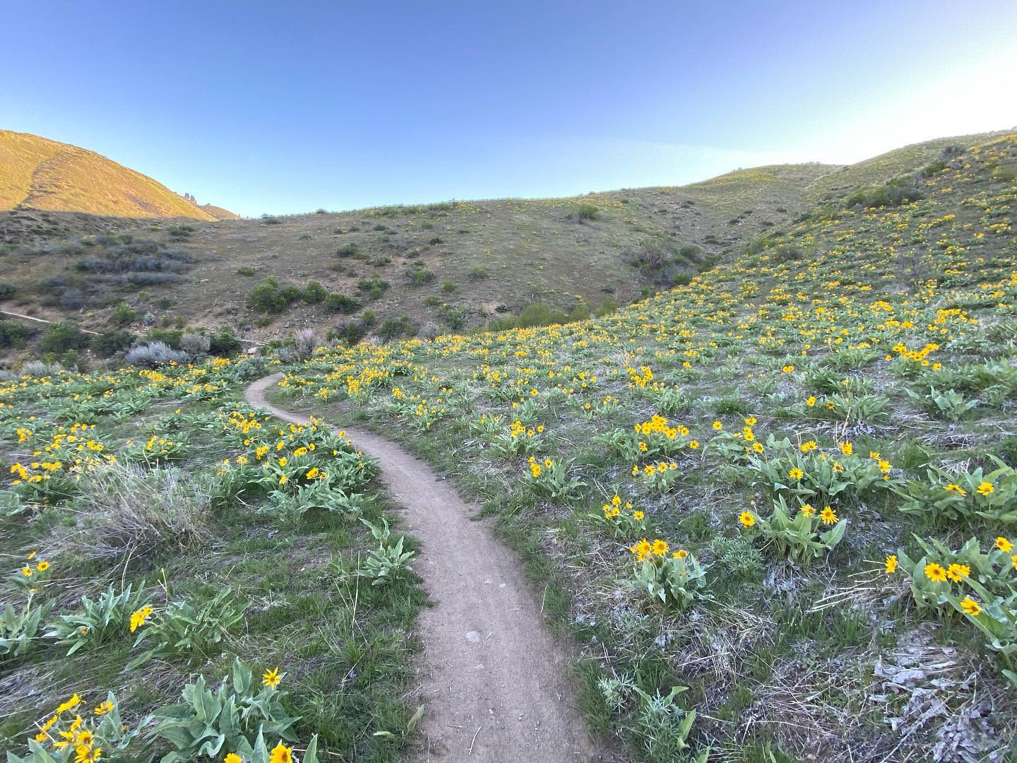 The Boise Trails Challenge