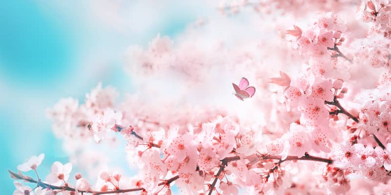 Millington Chamber March 26, 2026 Newsletter