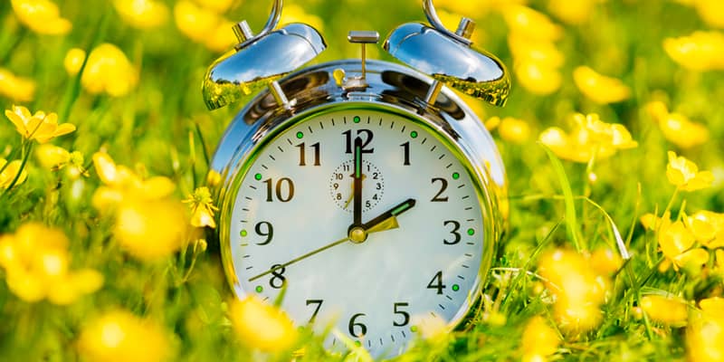 Millington Chamber Newsletter - February 2026