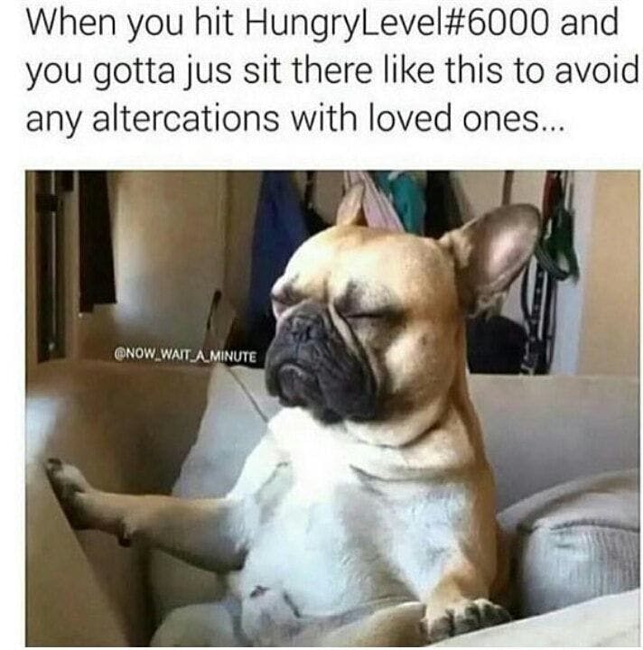 When you hit HungryLevel#6000 and you gotta jus sit there like this to  avoid any altercations with loved ones... - iFunny :)