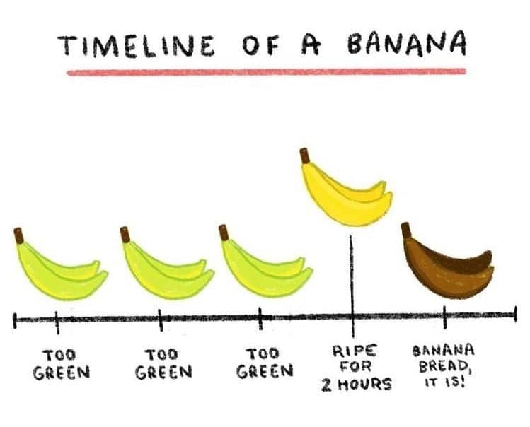 TIMELINE OF A BANANA TO! RIPE BANANA Too GREEN GREEN GREEN FOR FO BREAD,  ZHOURS was! - iFunny Brazil