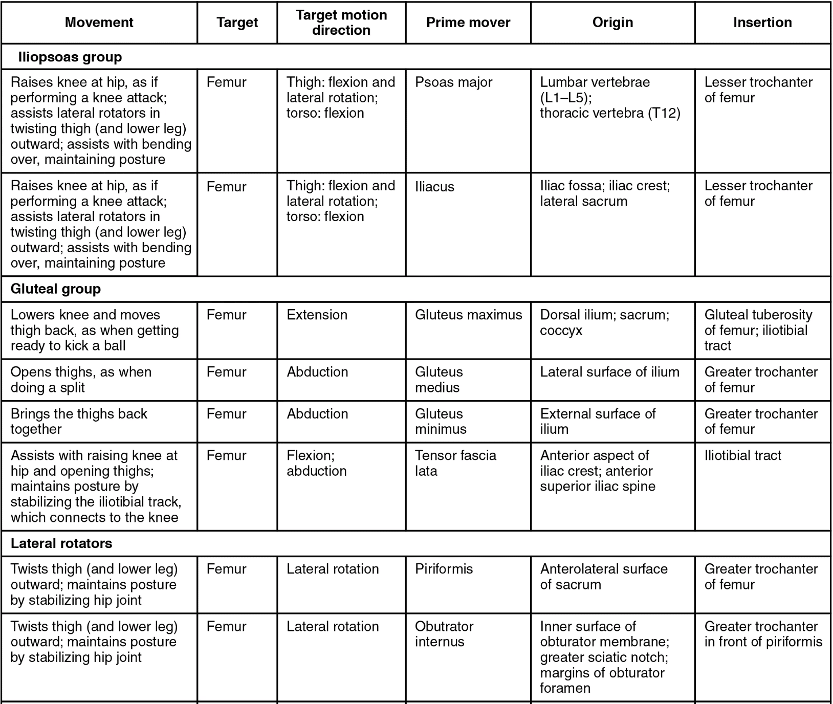 How to memorize big tables of anatomy (+New Video on Origins & Insertions!)