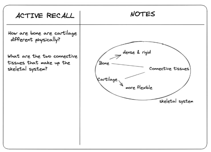 How to do Active Recall