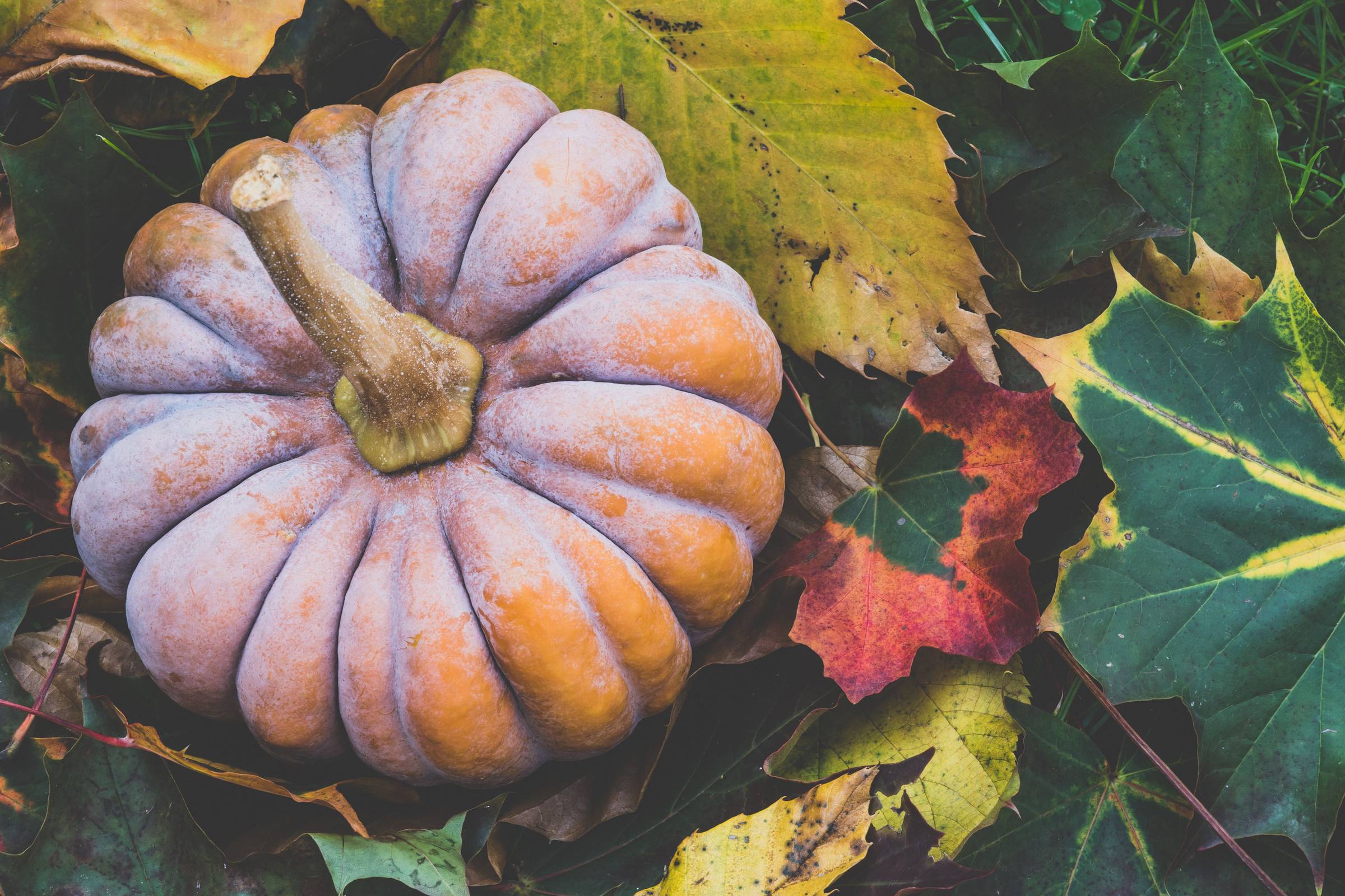 October events in Charleston