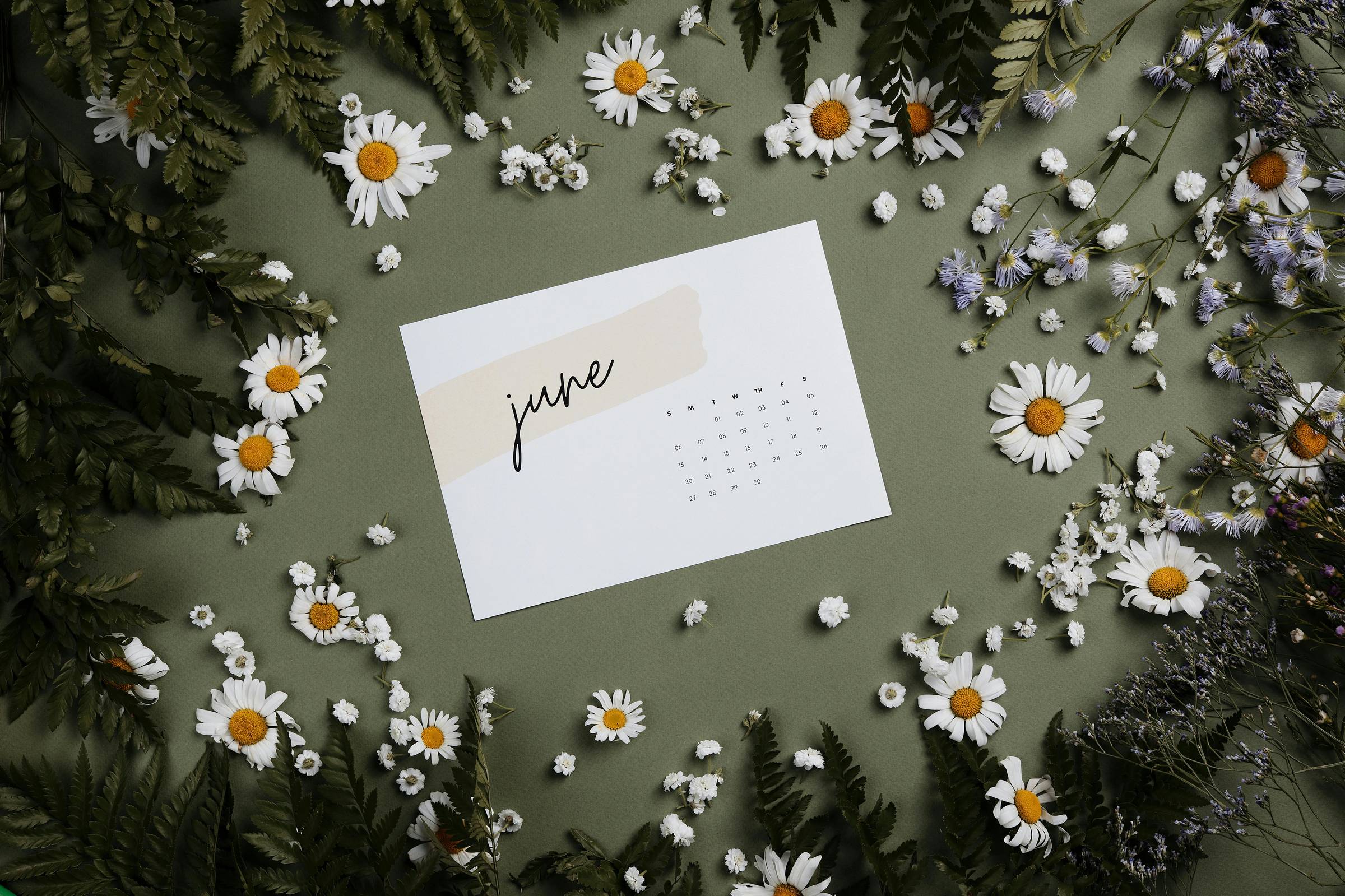 June events in Charleston