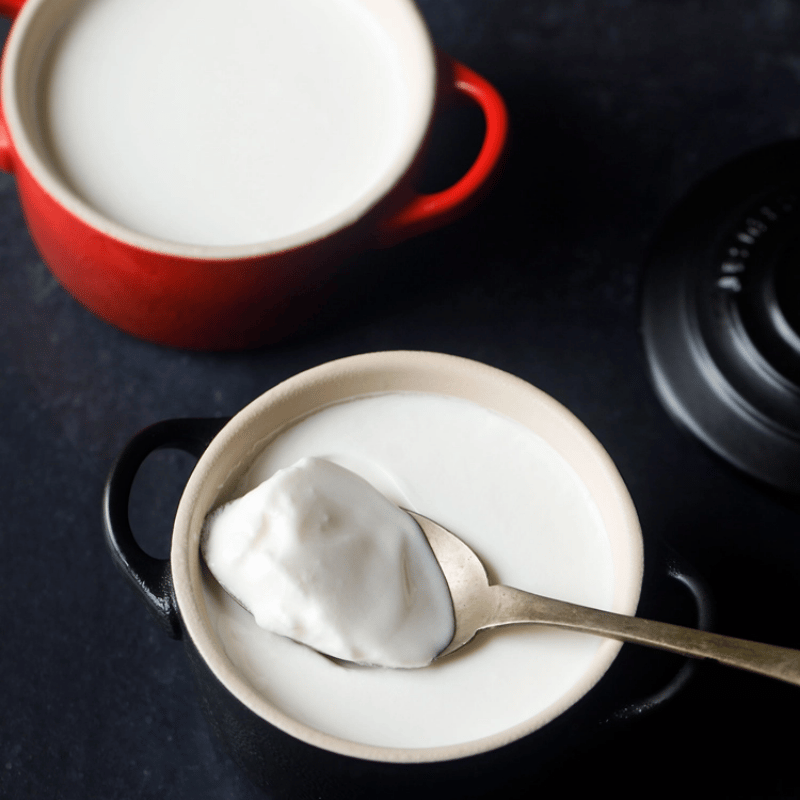 How to make Curd | Indian Yogurt Recipe