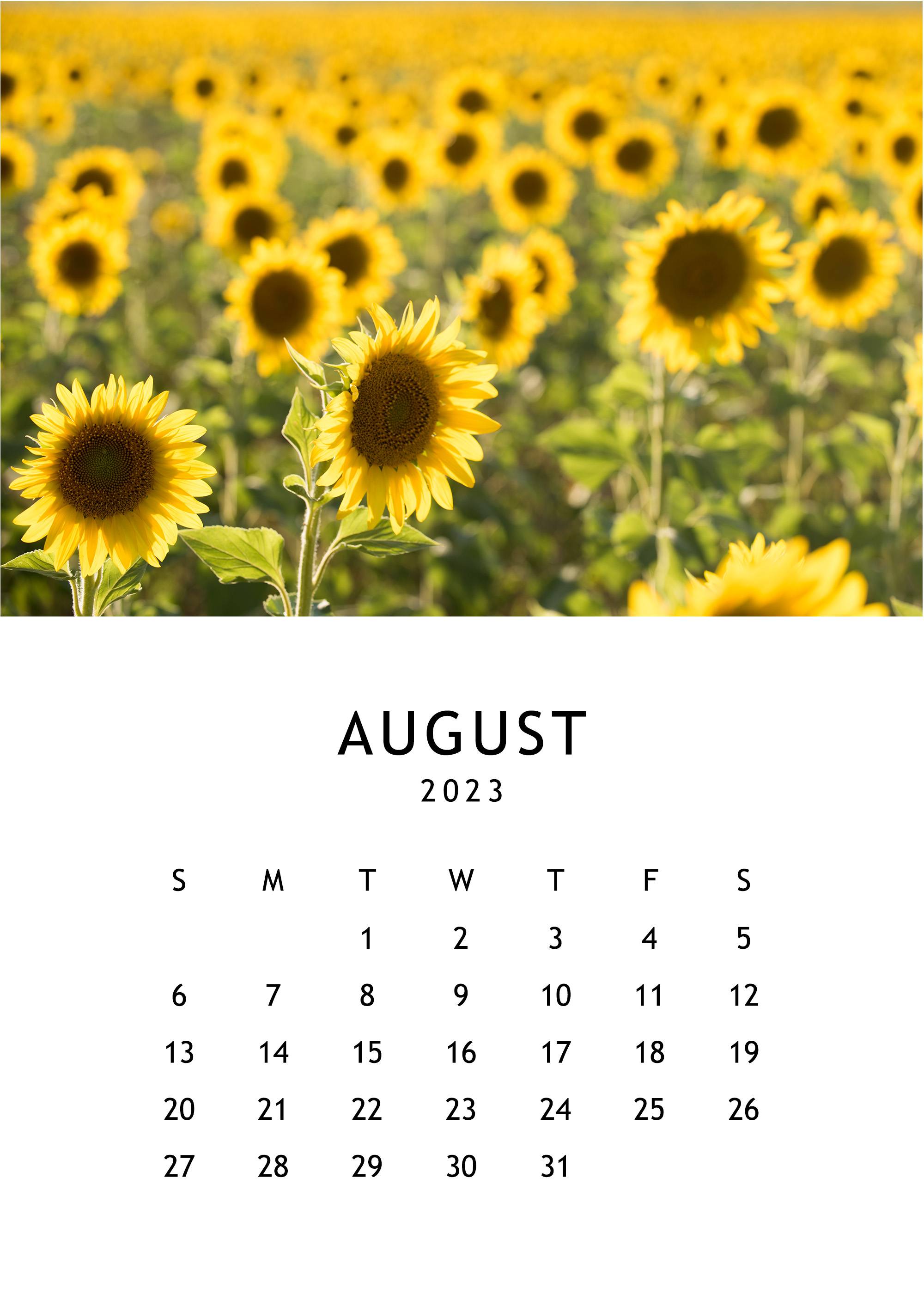 Denver Events Calendar August 2024 Heath Elizabeth