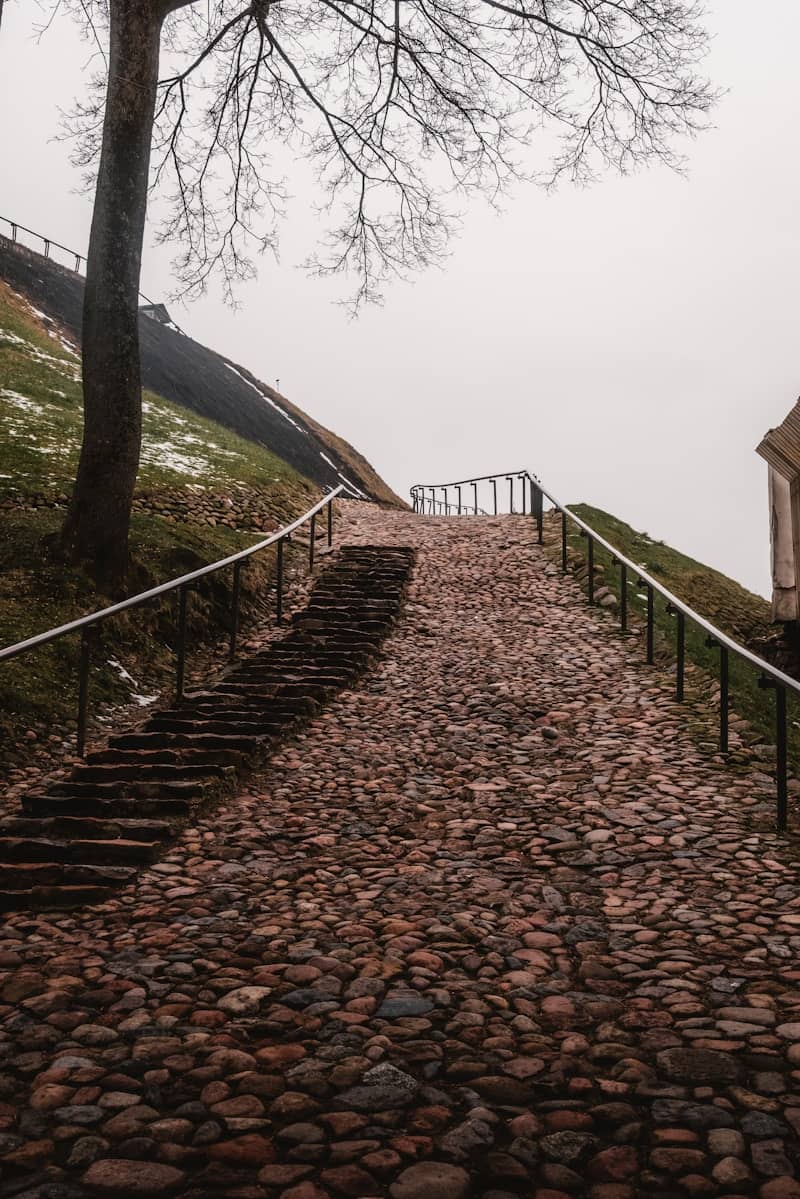 Stone steps lead upwards on a foggy day.