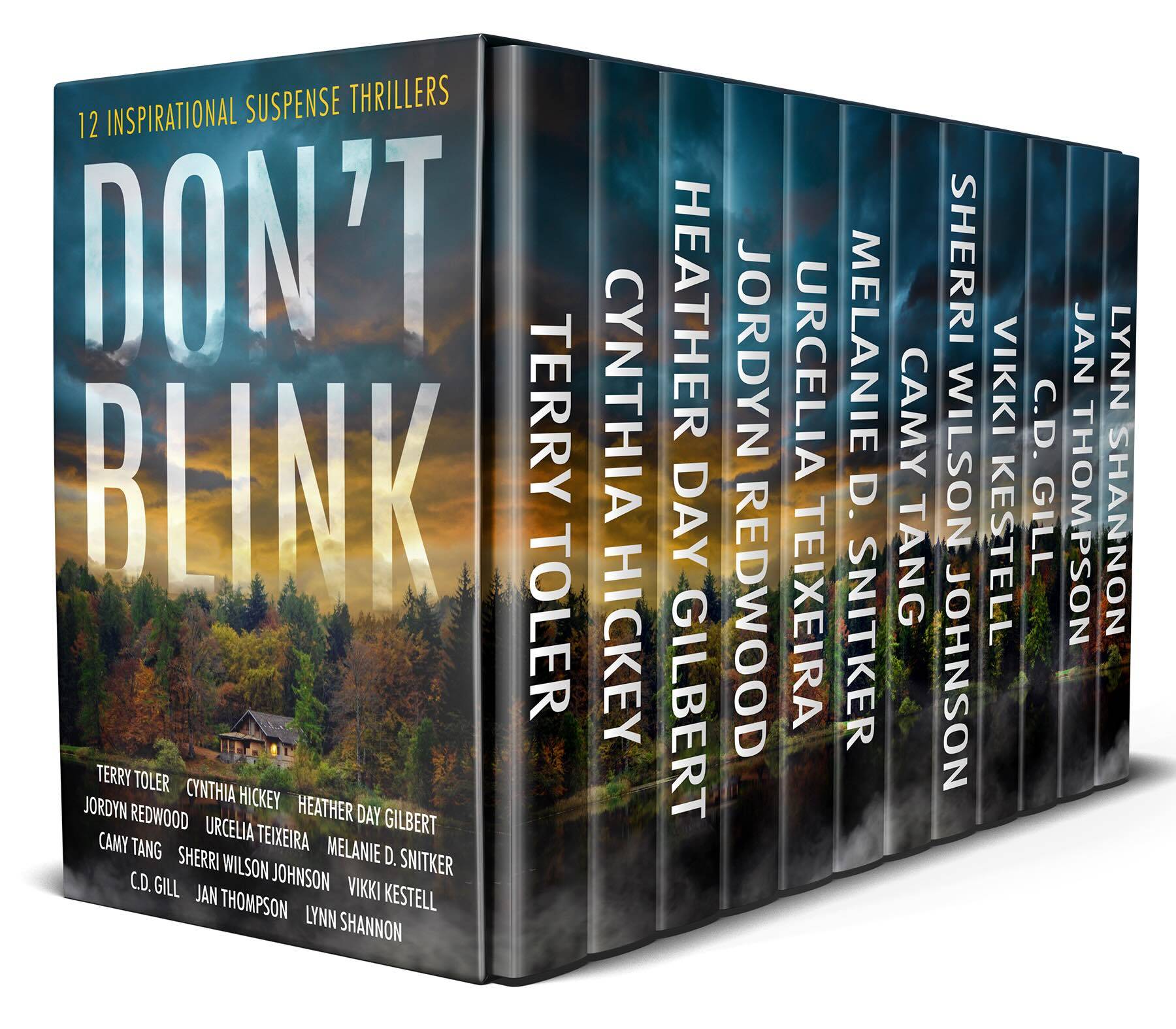 Don't Blink: 12 Inspirational Suspense Thrillers by Terry Toler, Cynthia Hickey, Heather Day Gilbert, Jordyn Redwood, Urcelia Teixeira, Melanie D. Snitker, Camy Tang, Sherri Wilson Johnston, Vikki Kestell, C.D. Gill, Jan Thompson, Lynn Shannon