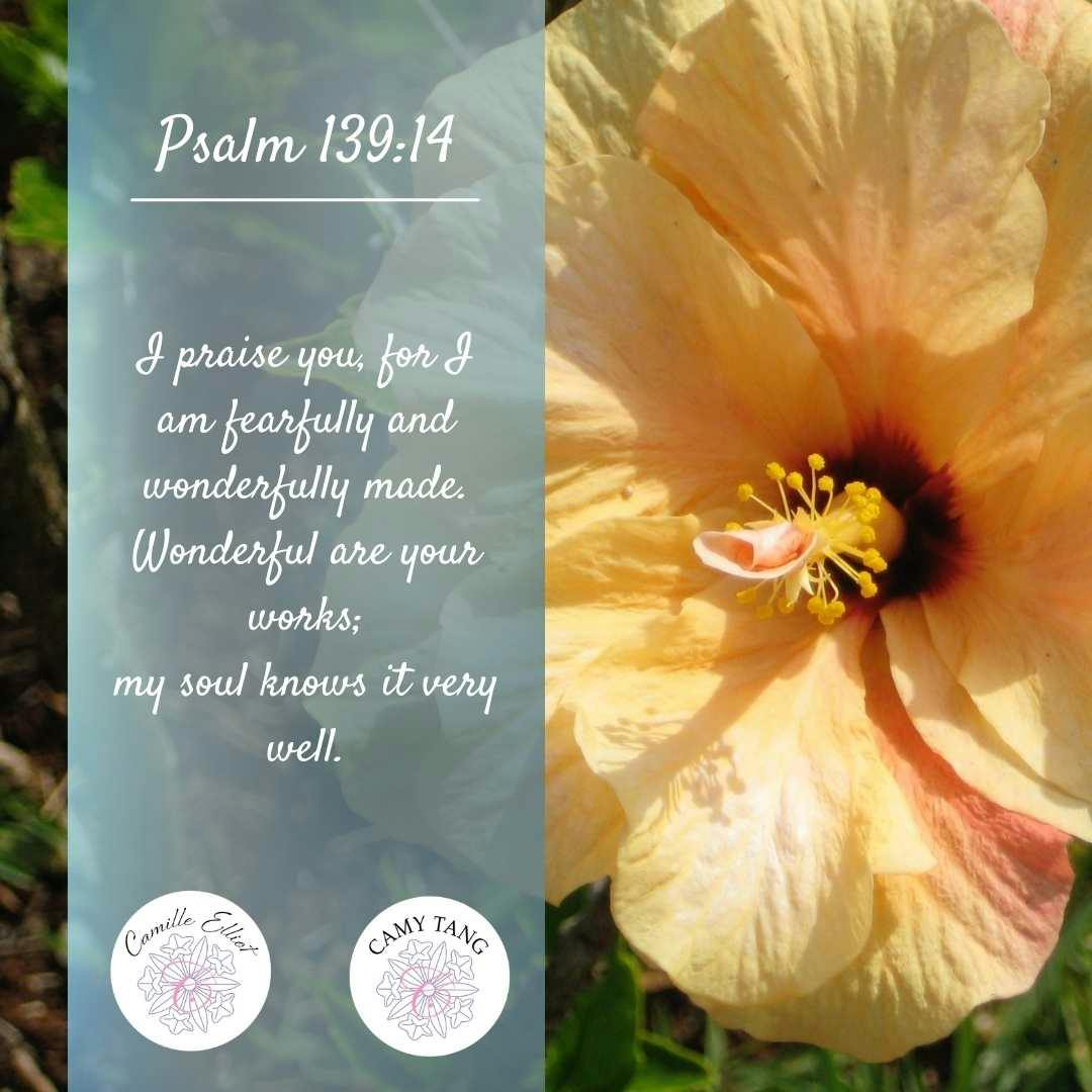 Psalm 139:14. I praise you, for I am fearfully and wonderfully made. Wonderful are your works; my soul knows it very well.
