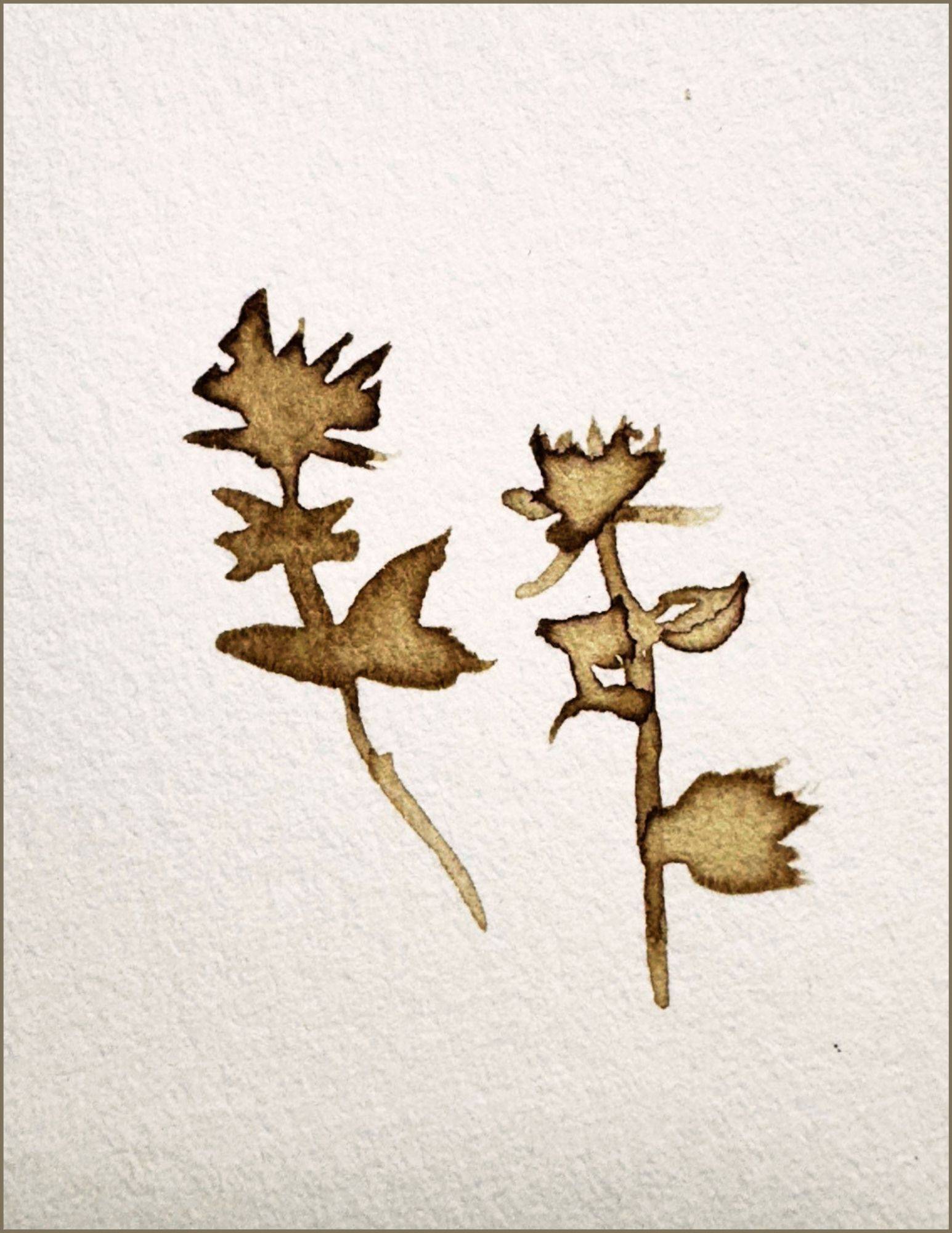 walnut ink art