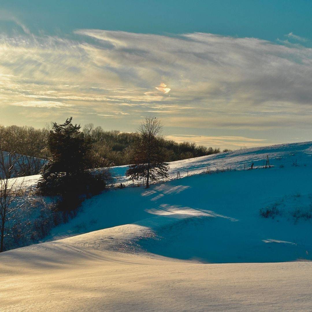 beautiful winter landscape