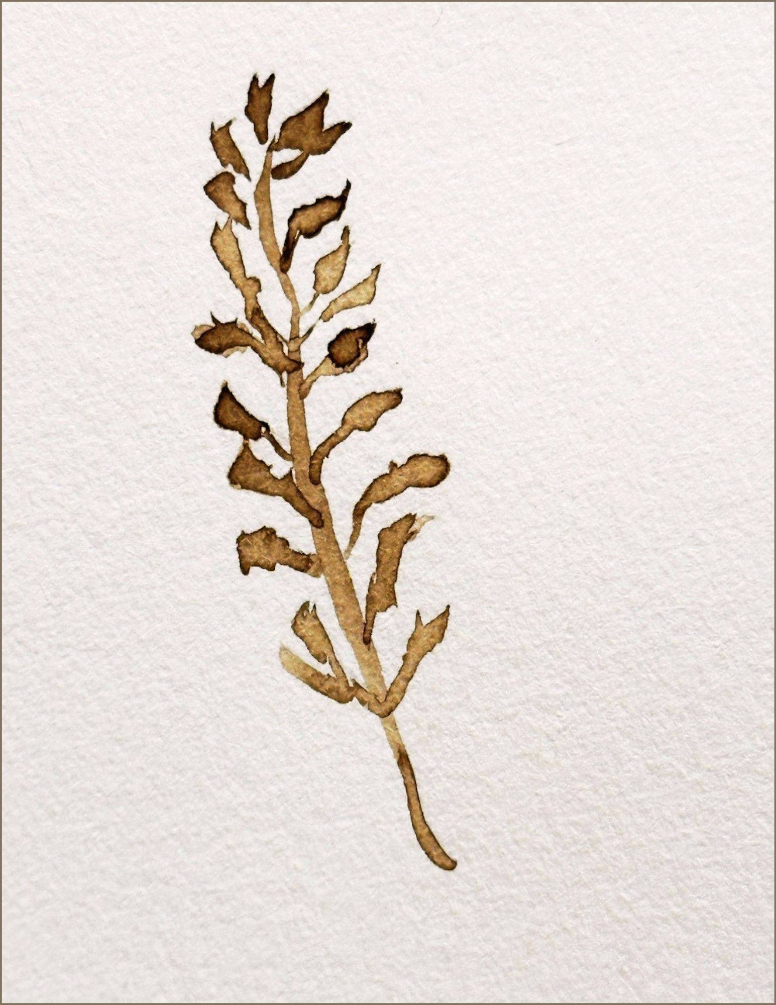 walnut ink art