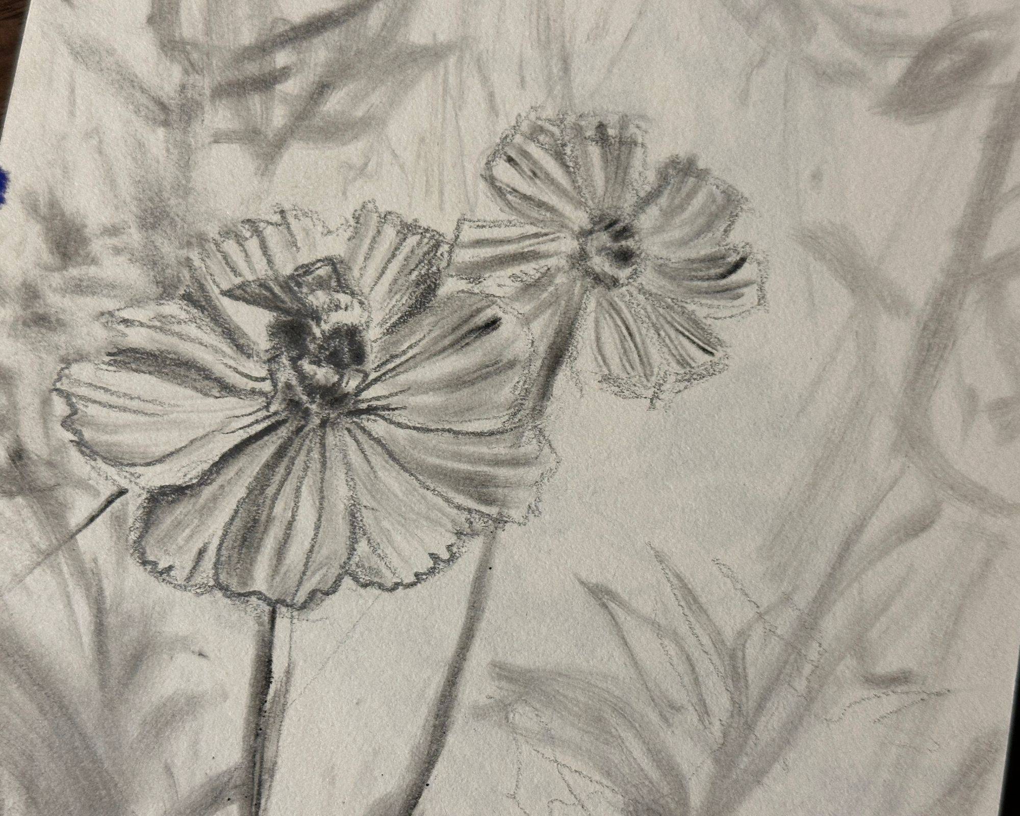 sketch of bee on flower