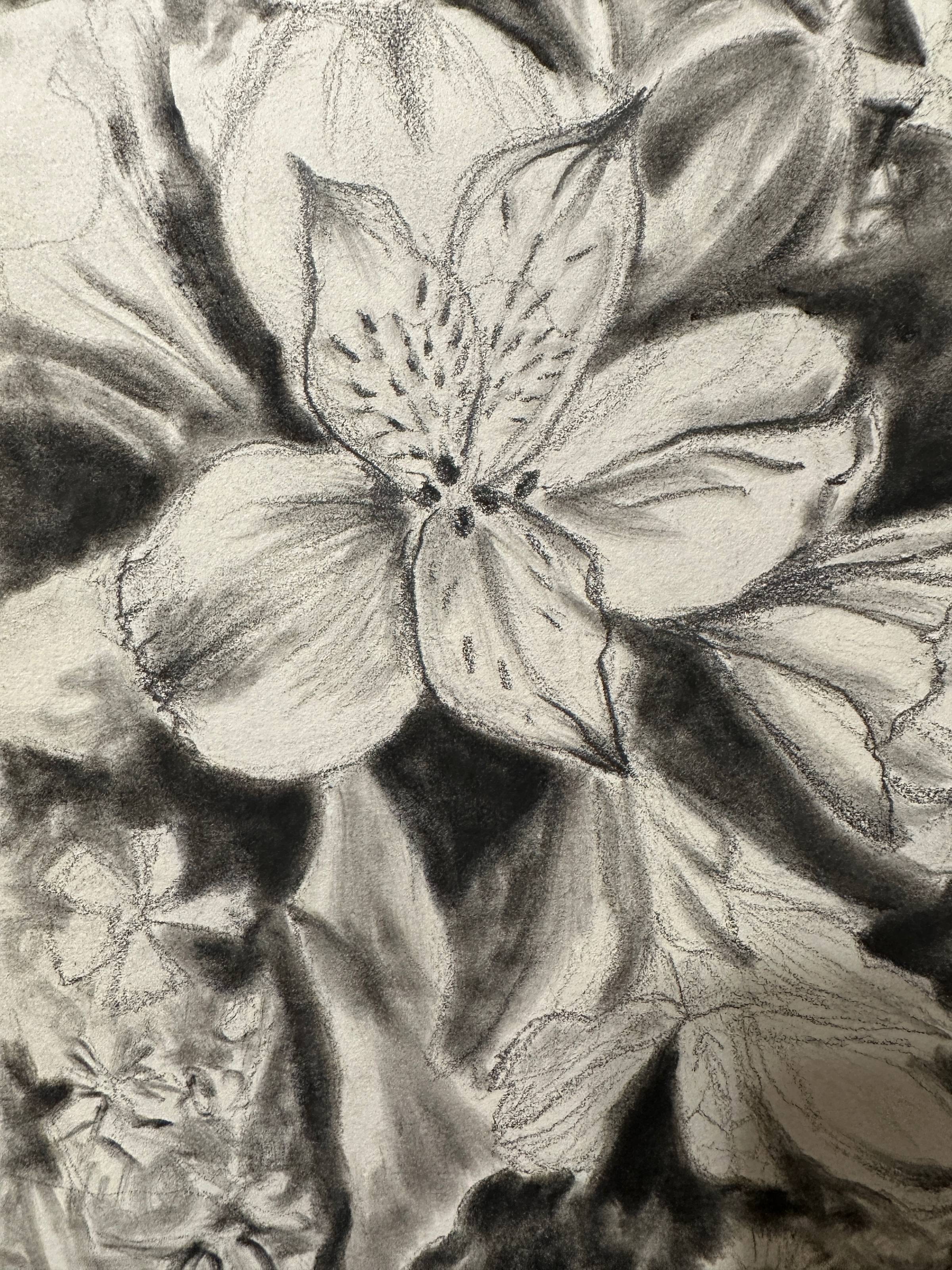 pan pastel and pencil sketch of flowers