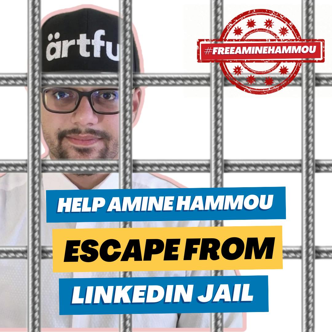 Help amine hammou escape from linkedin jail