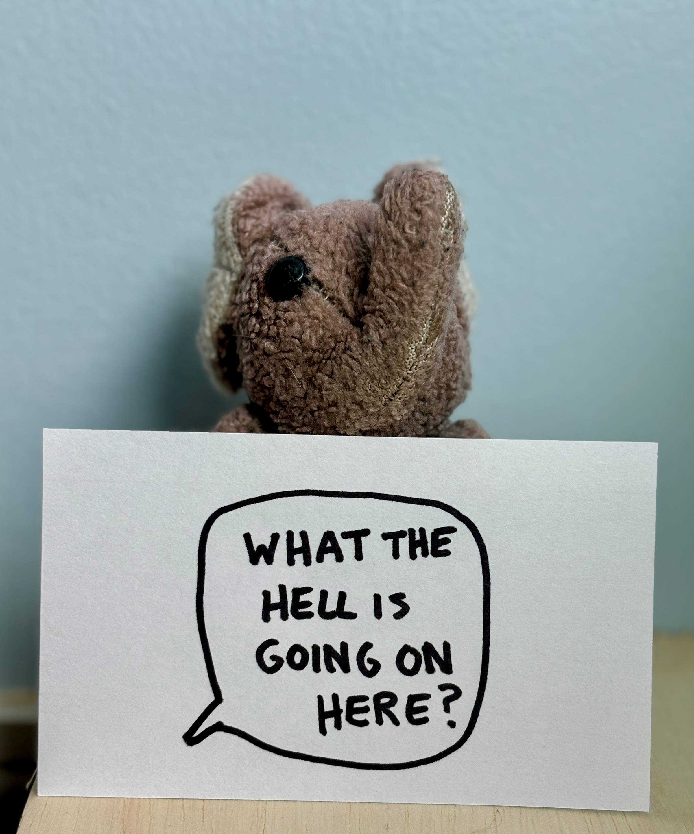 Paul holding an index card with a question: "What the hell is going on here?""
