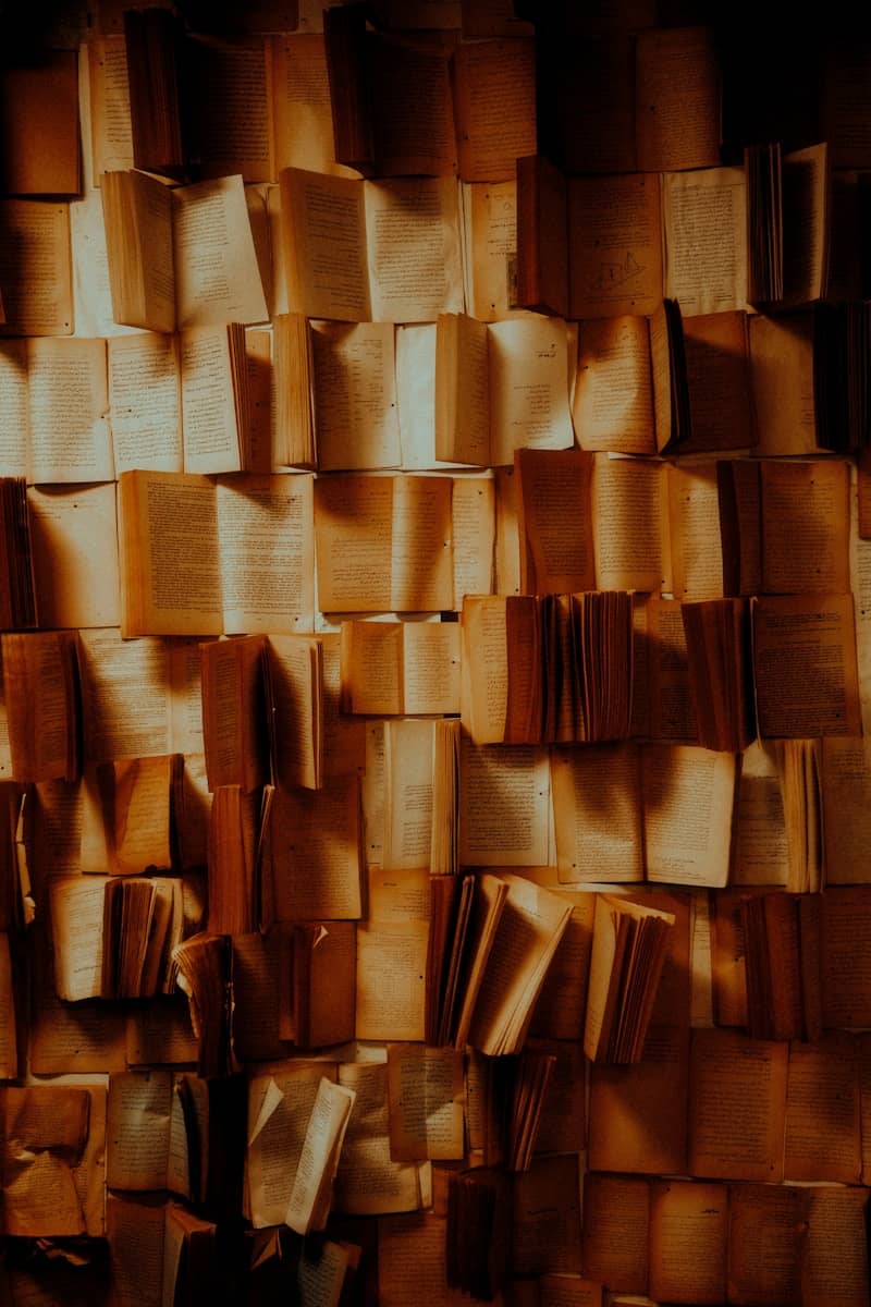 Many open books arranged on a wall with warm lighting.