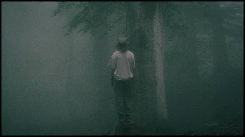 Mysterious figure standing by a tree in dense fog.