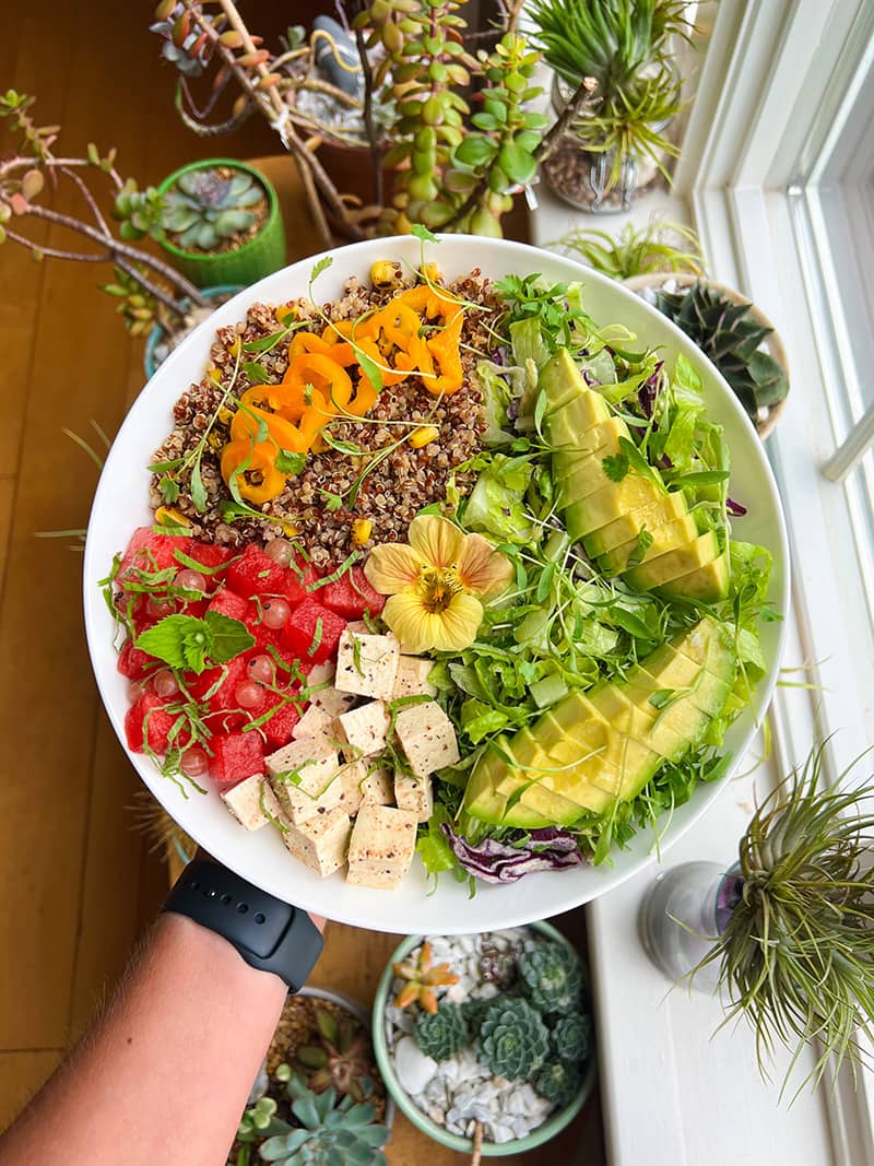 A big, colorful burrito bowl held by the author over a table covered in plants
