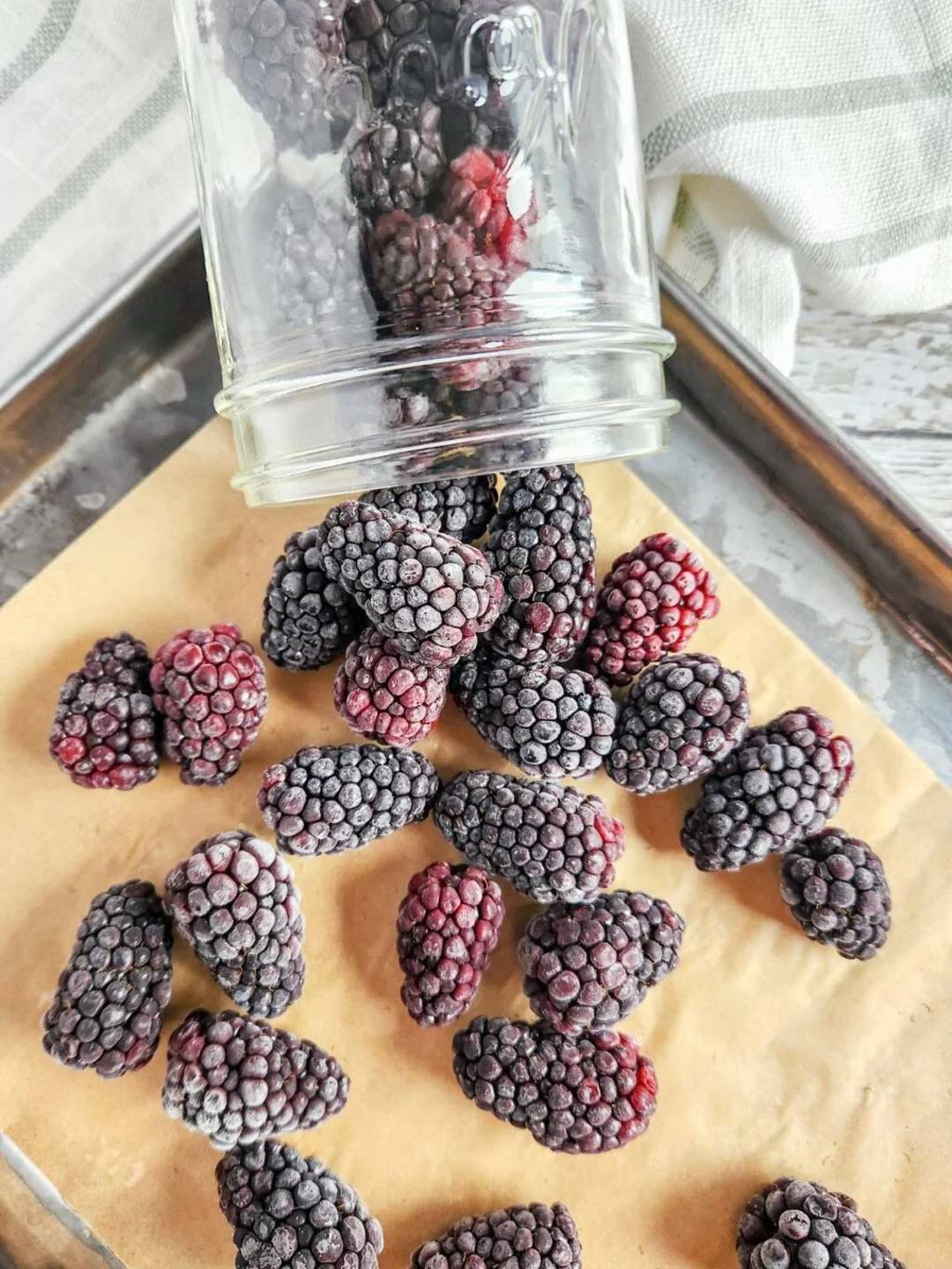 how to freeze blackberries