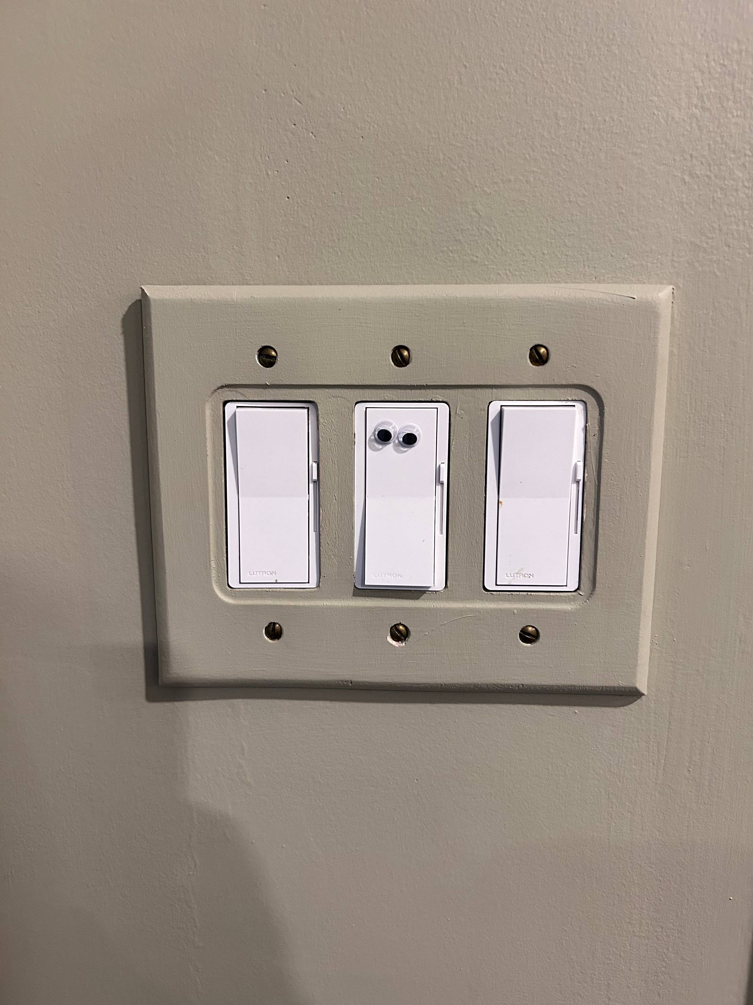 googly eyes on a light switch