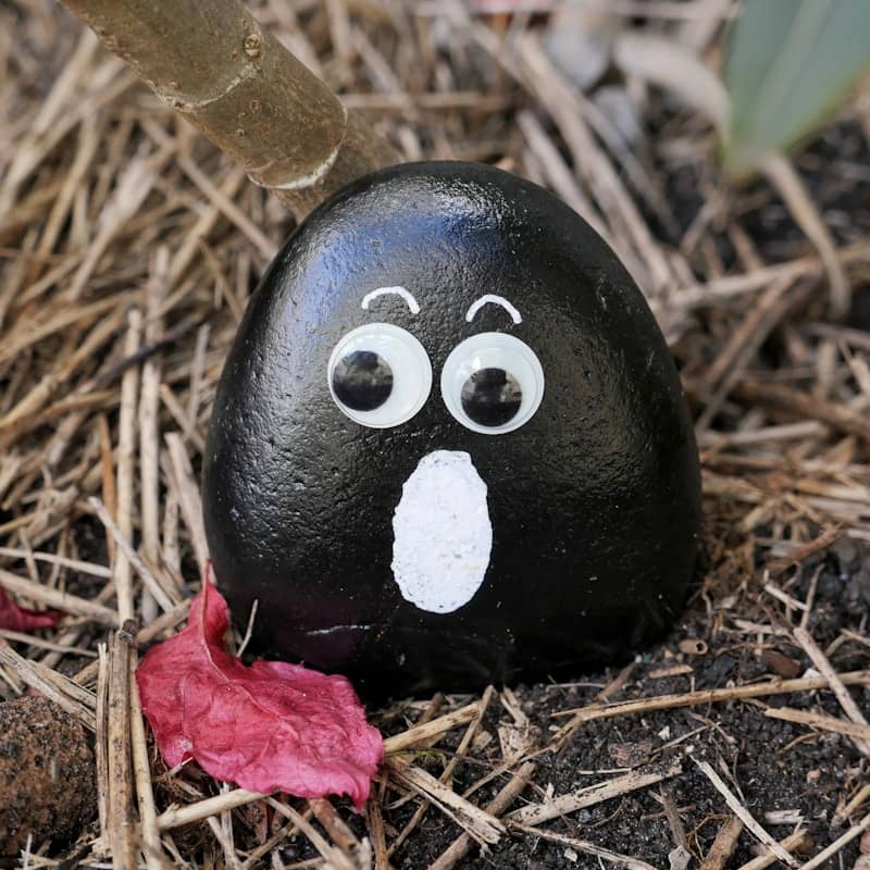 A black rock with a face painted on it