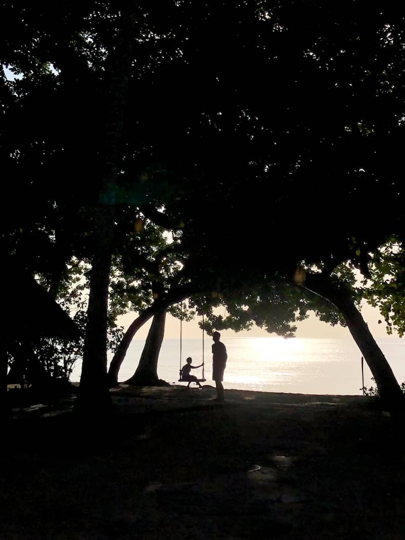 Two people are silhouetted beneath a tree by the sea.